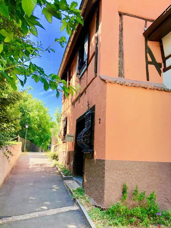 Gite "Rempart Sud" A Ribeauville エクステリア 写真