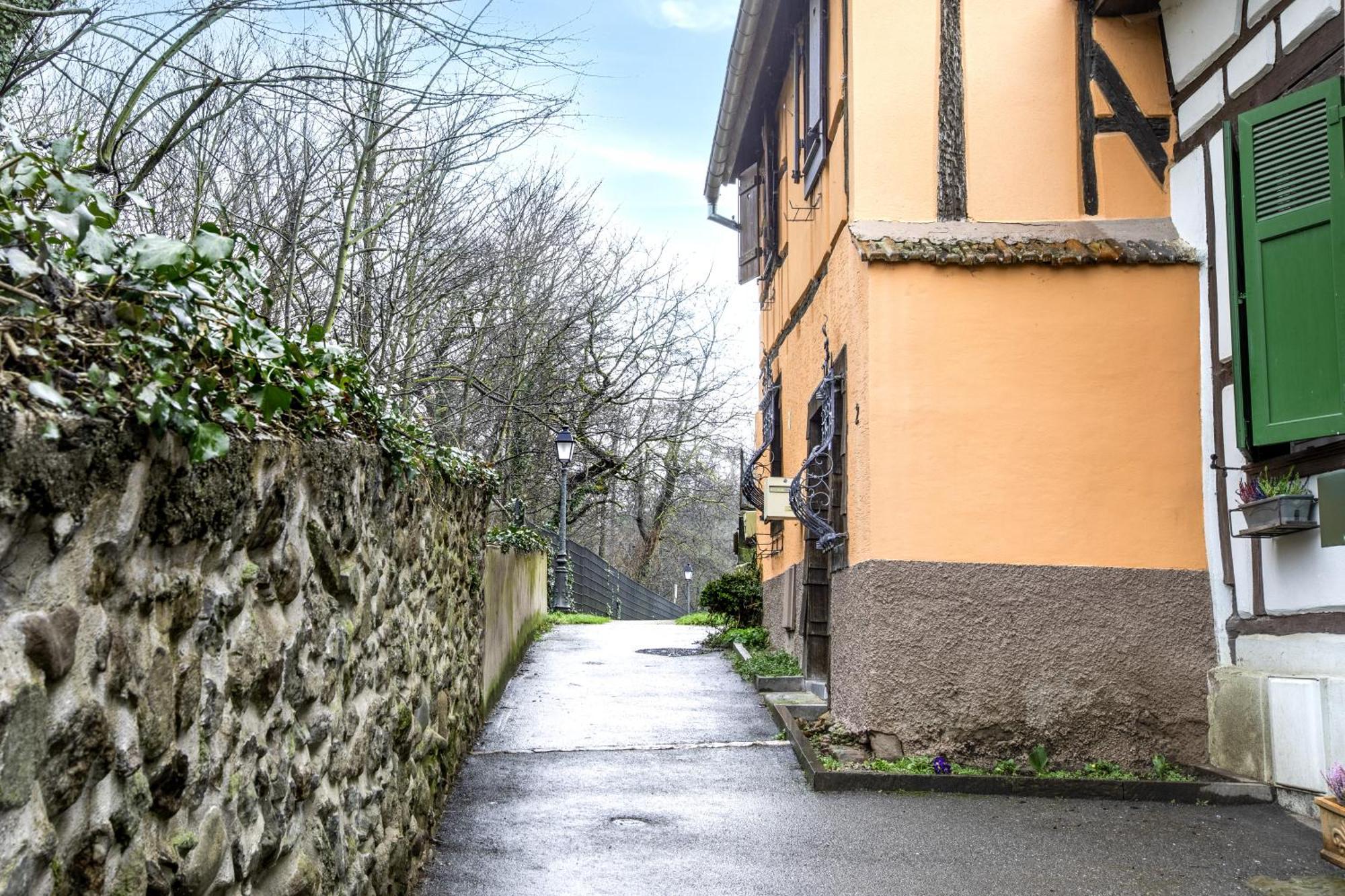 Gite "Rempart Sud" A Ribeauville エクステリア 写真
