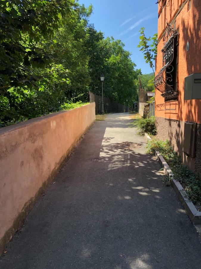 Gite "Rempart Sud" A Ribeauville エクステリア 写真